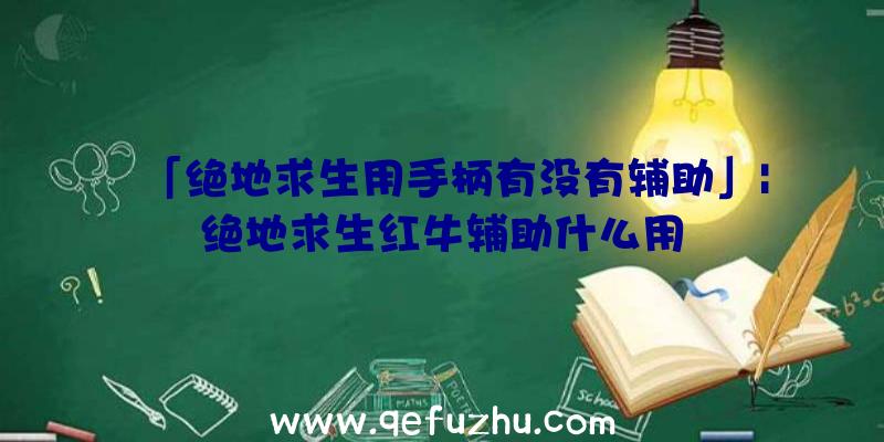 「绝地求生用手柄有没有辅助」|绝地求生红牛辅助什么用